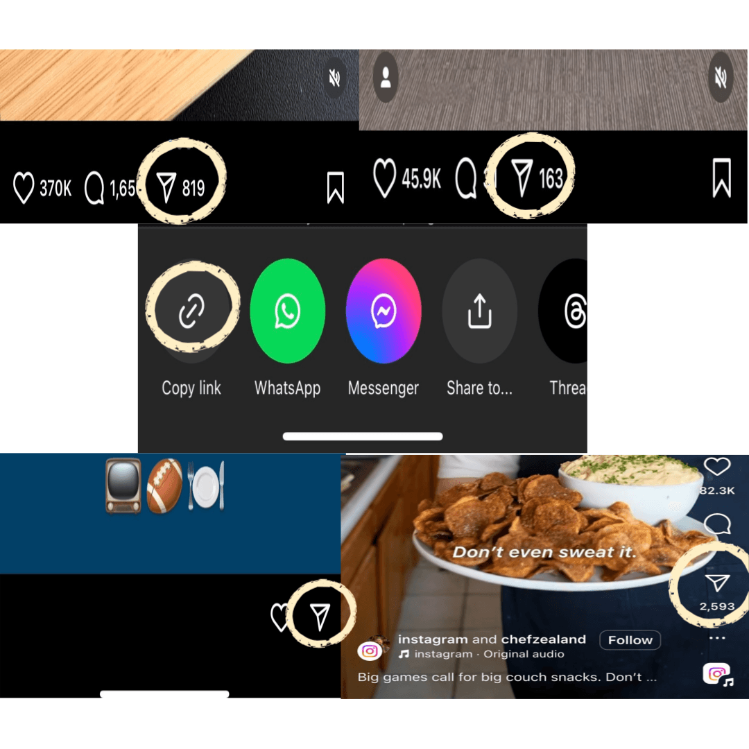 How to download with SnapInsta – example